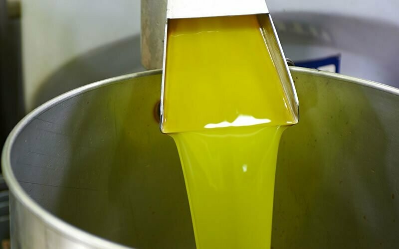 olive oil 1 kilo bottle (last season oil)
